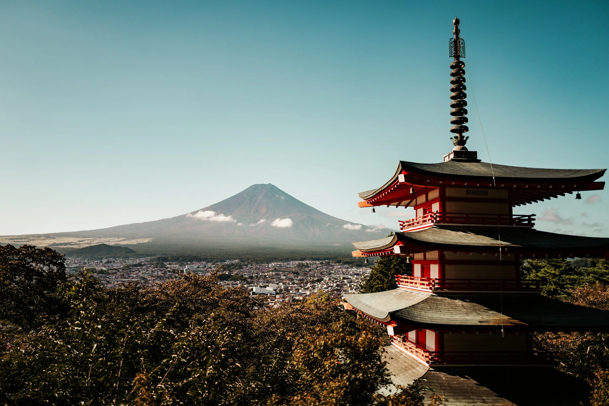 Photo by Mario Scheibl on Unsplash