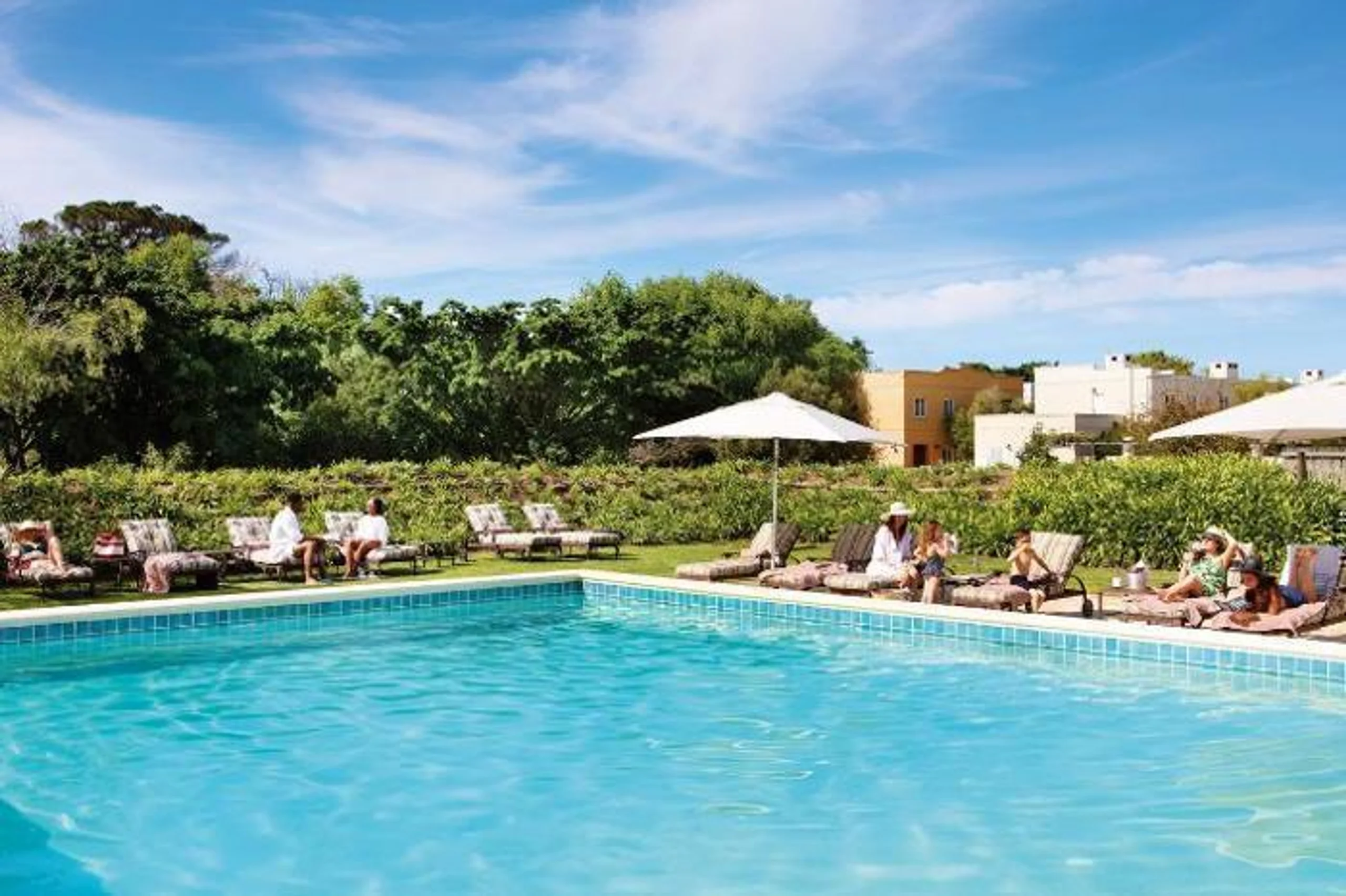  The Spier Hotel in South Africa / Cape Winelands, image_2