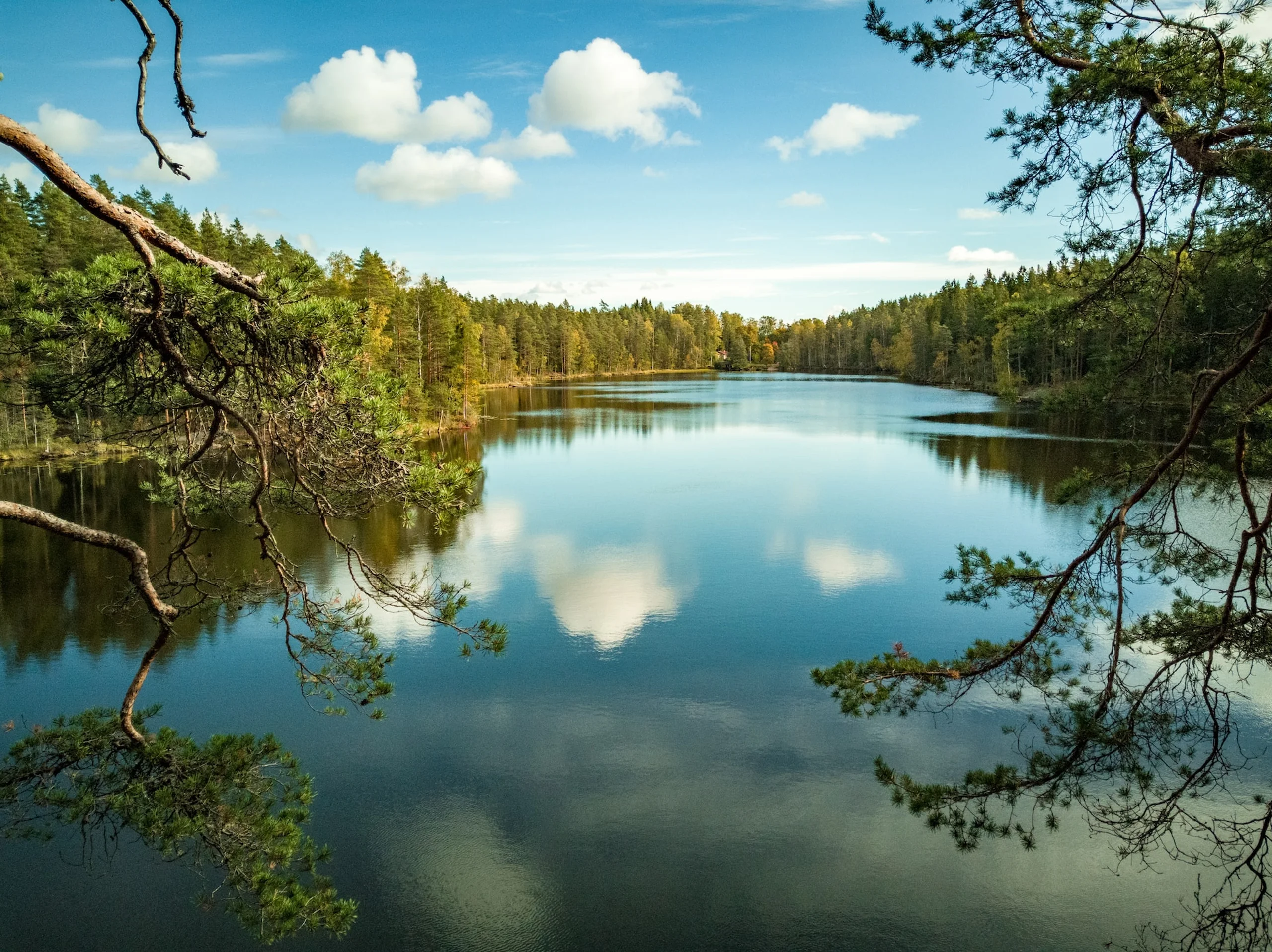 Calm lake surrounded by trees reflecting blue sky and clouds