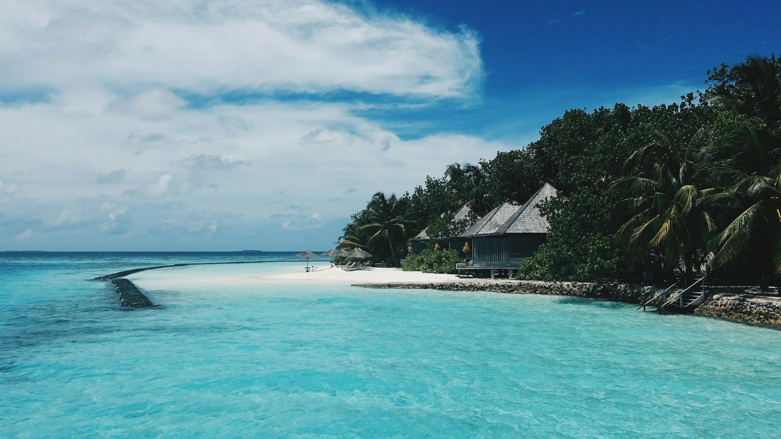 Photo by Dion Tavenier on Unsplash