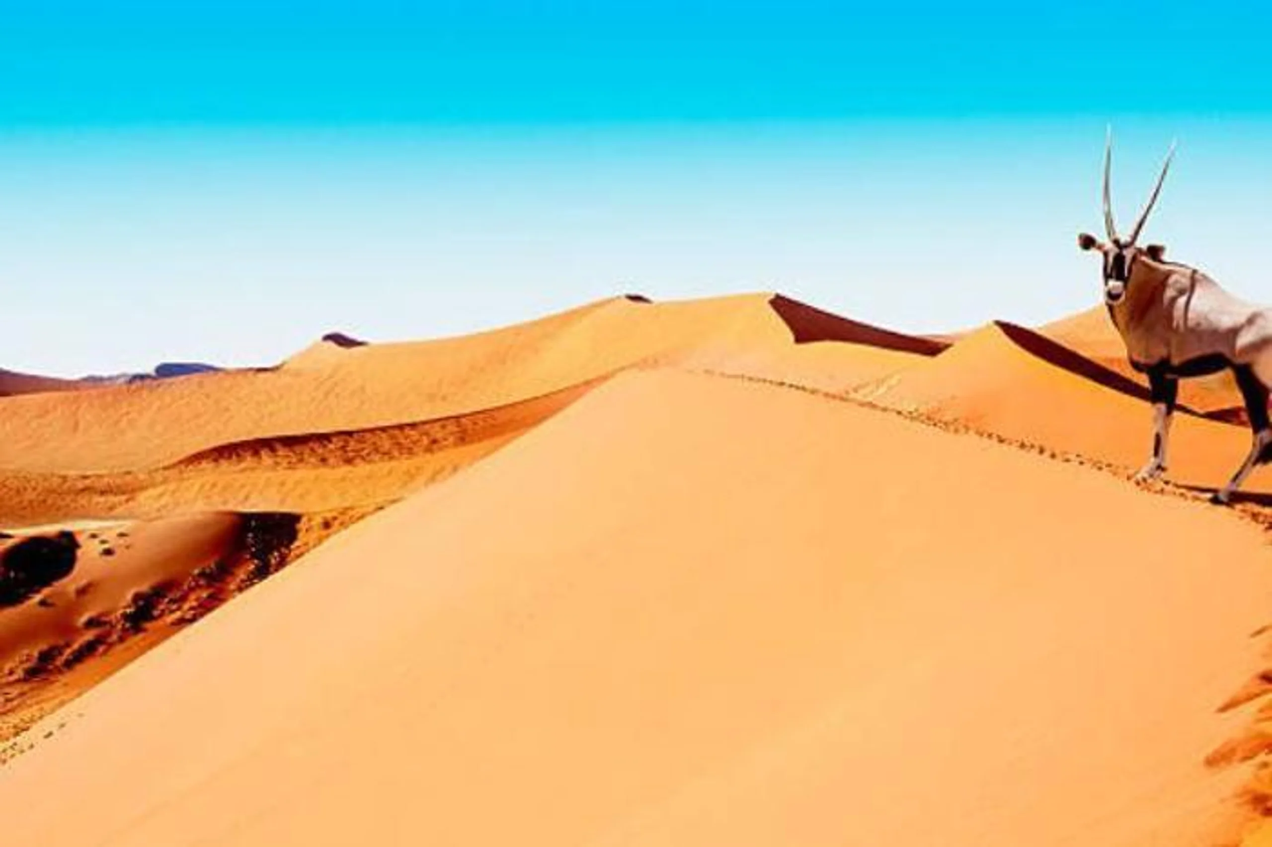 Southern Namibia Discovery Package (6 Nights) in Africa / Namibia, image_1