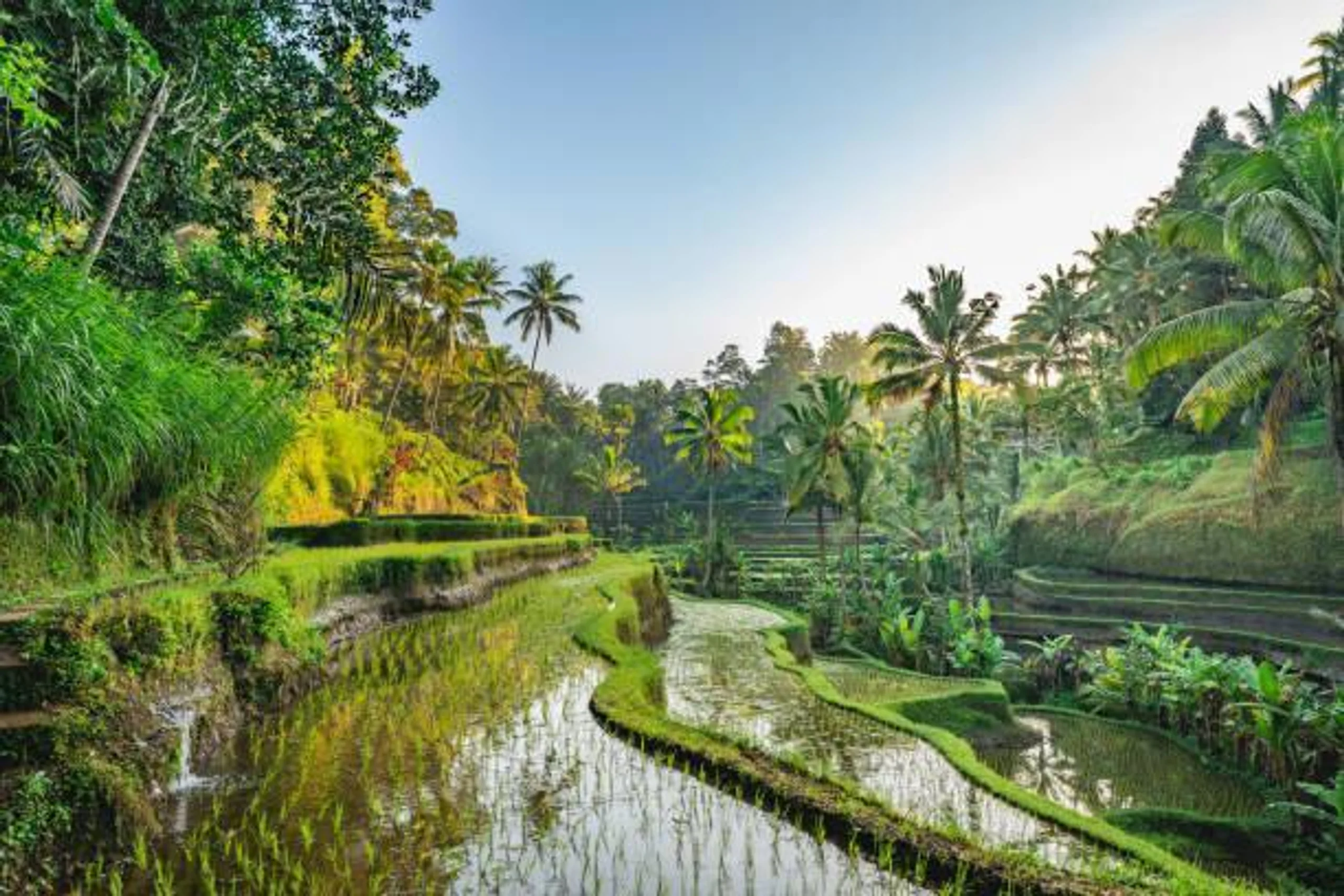  Ubud & Benoa Holiday in Far East / Indonesia, image_3