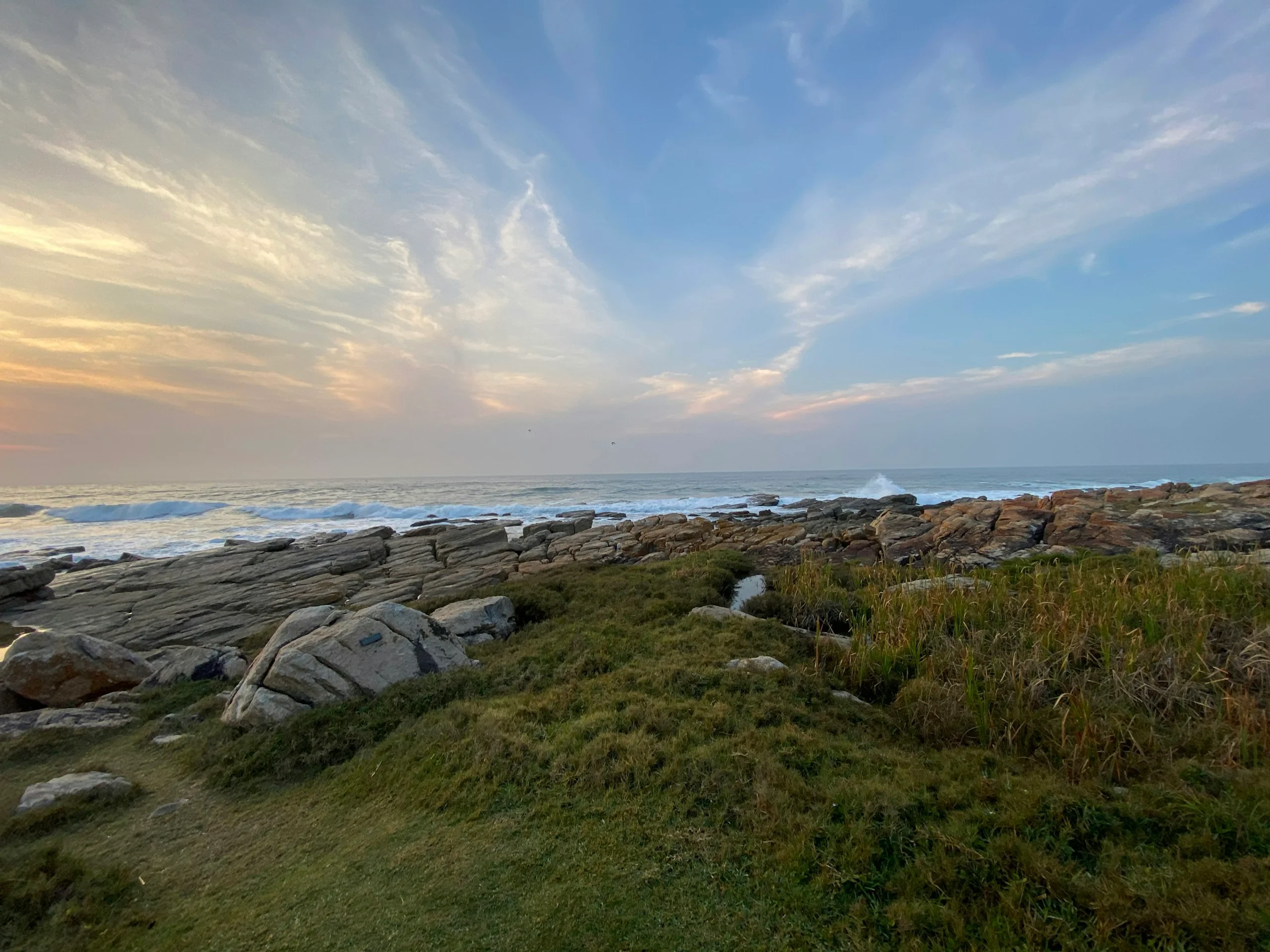 Photo by Derek Crosson on Unsplash