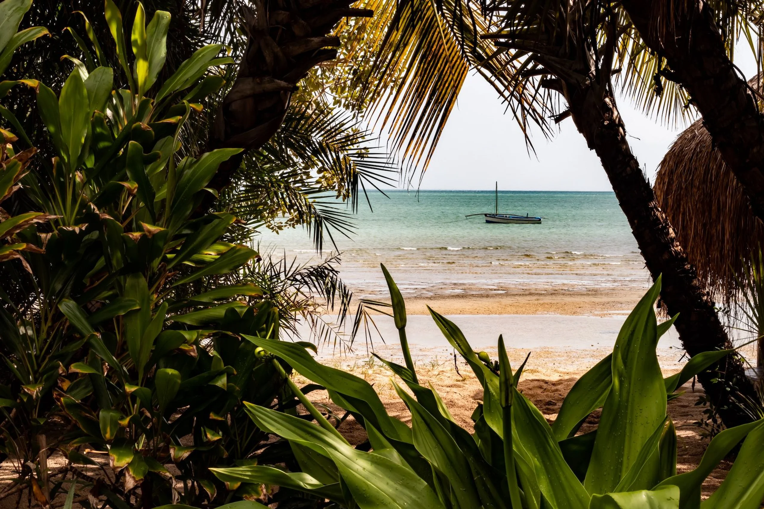 Boat floating off a Mozambiquan beach seen through vegetation