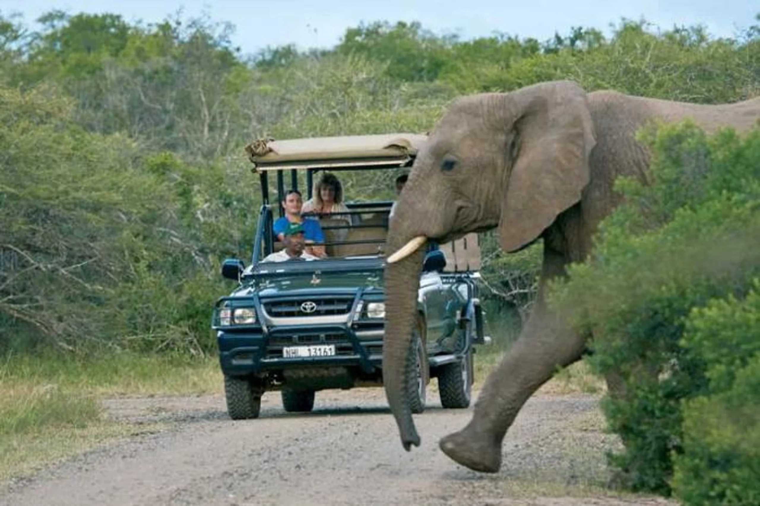 Perry's Bridge Hollow Boutique Hotel in South Africa / Mpumalanga, image_3