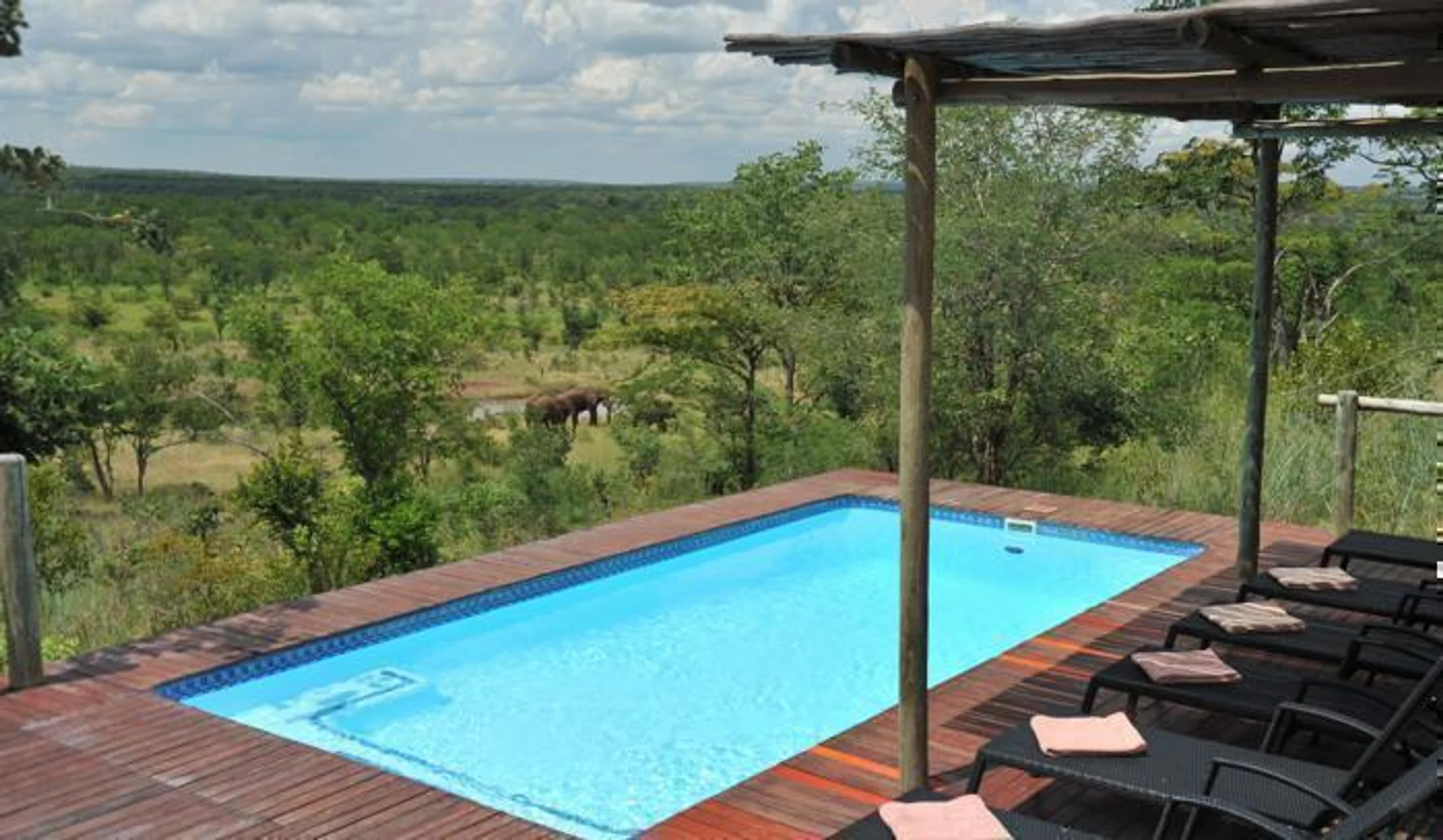  The Elephant Camp in Africa / Zimbabwe, image_2