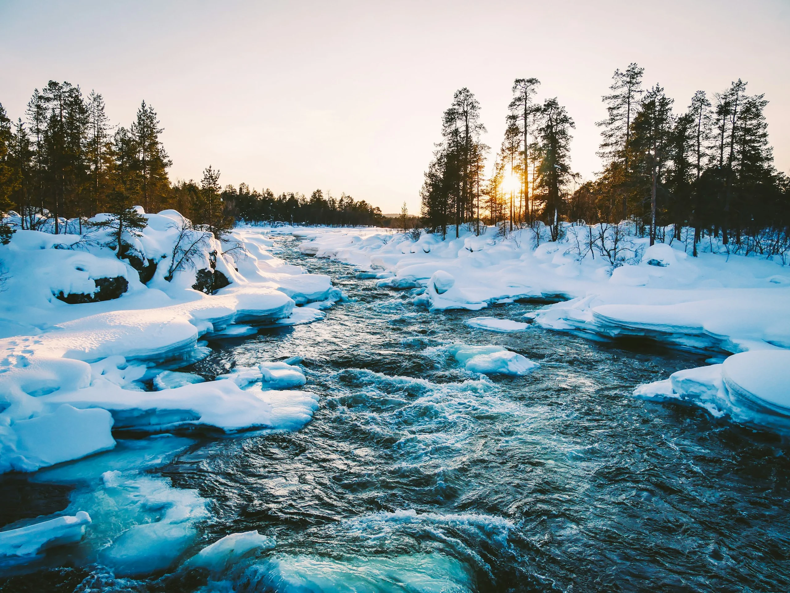 Photo by Matthias Speicher on Unsplash