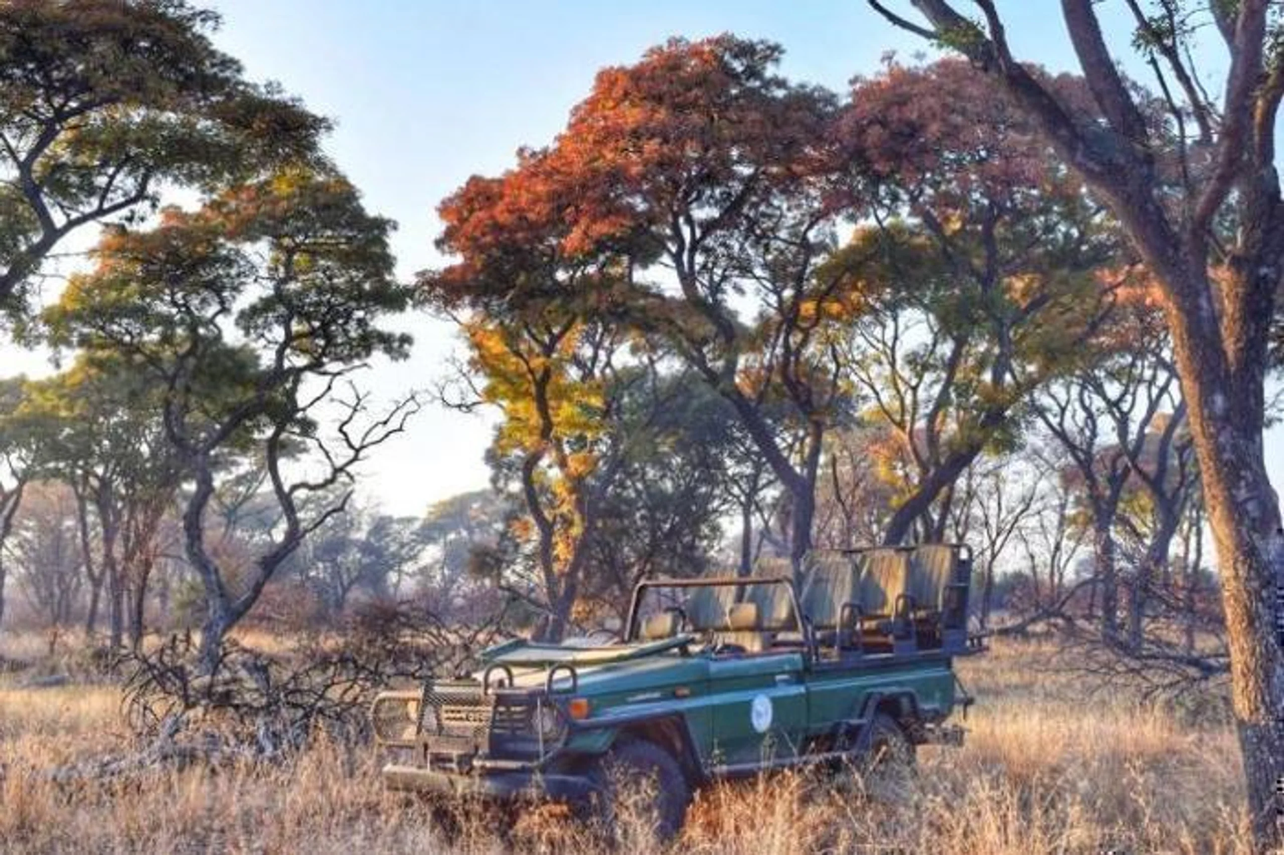  Mziki Safari Lodge in South Africa / North West, image_3